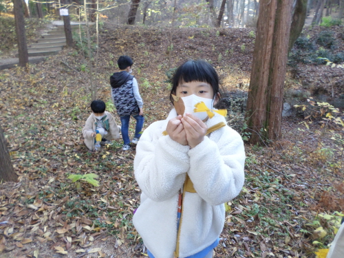 11월 숲SAM_5420.JPG