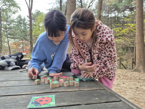 11월 숲KakaoTalk_20241206_161456156.jpg