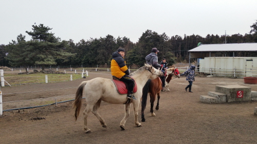 제주도20180221_135248.jpg